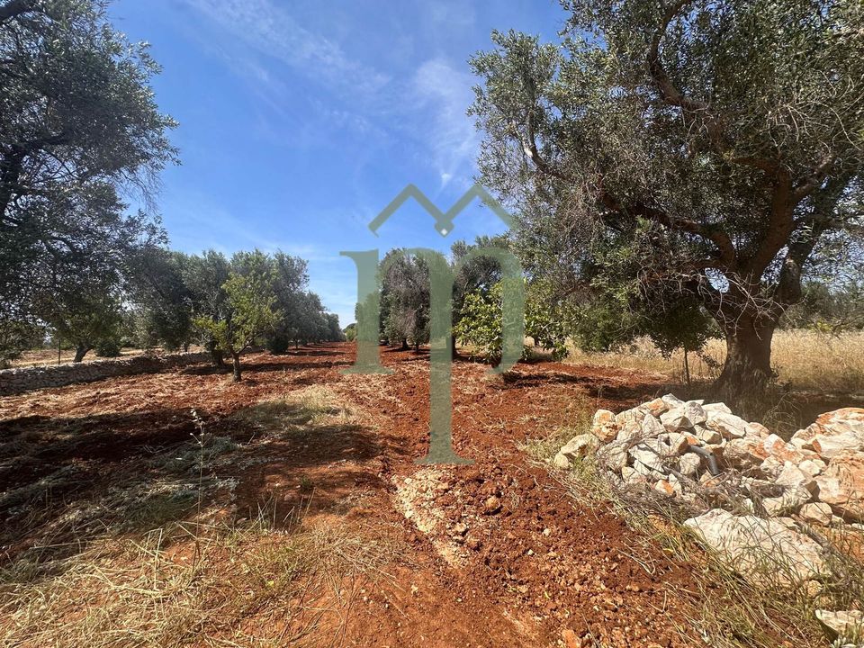 Helårsgrund i Carovigno, Brindisi - foto 2